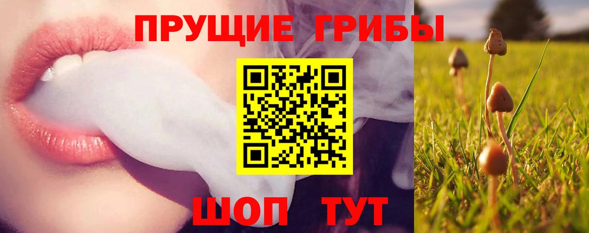 Псилоцибиновые грибы Psilocybine cubensis  купить закладку  Вход с VPN  Лангепас  Псилоцибиновые грибы мицелий 