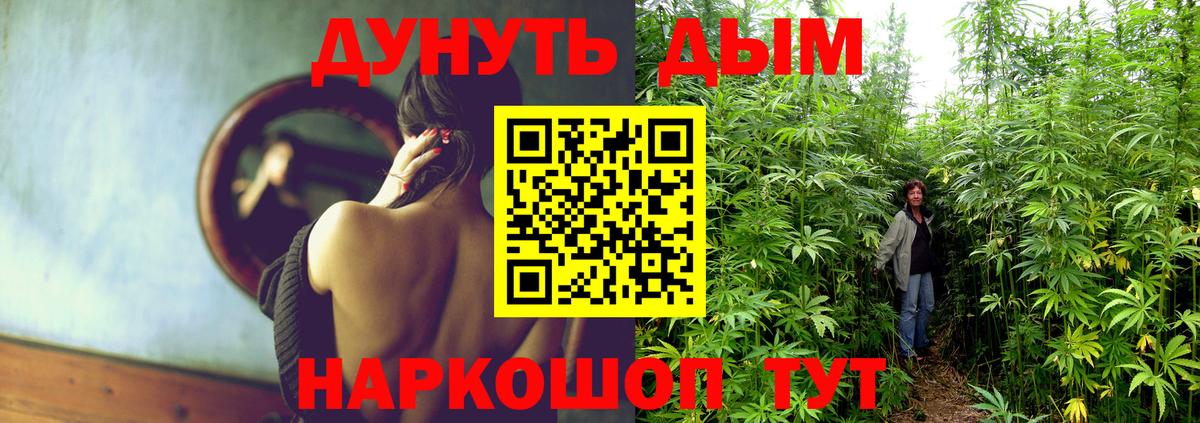 Лангепас  Конопля AK-47  Каннабис Bruce Banner  Вход с VPN  Марихуана Bruce Banner 